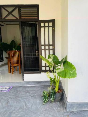 Asanka House