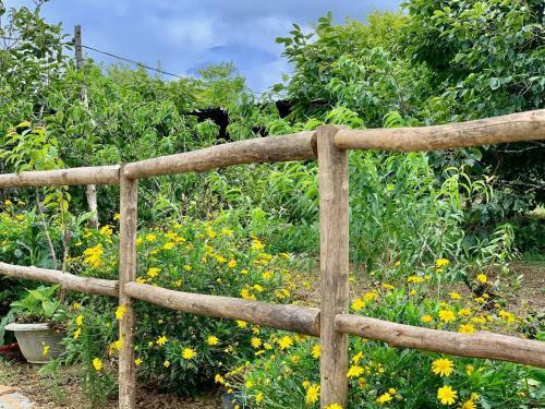 Bed & Breakfast Sapa Plum Homestay