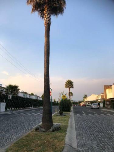 Apartamento Hermosa Casa, A 10m De La Marquesa, 25m De Cdmx
