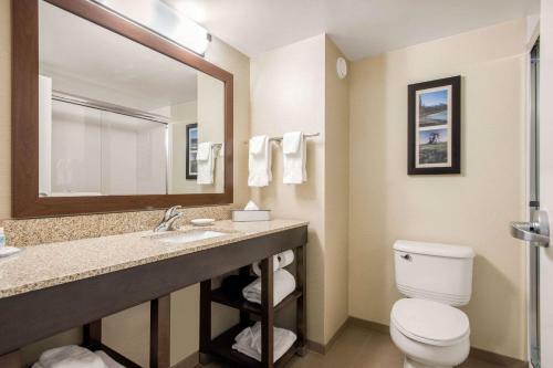 Hotel Comfort Inn & Suites Red Deer