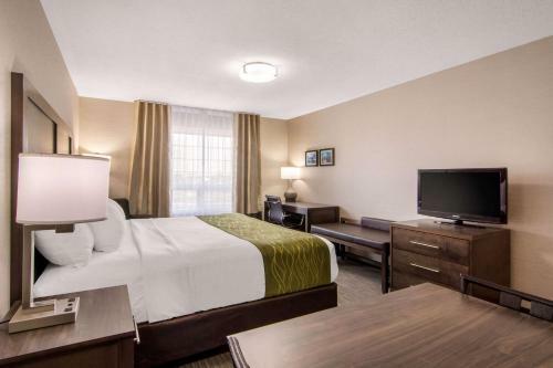 Hotel Comfort Inn & Suites Red Deer