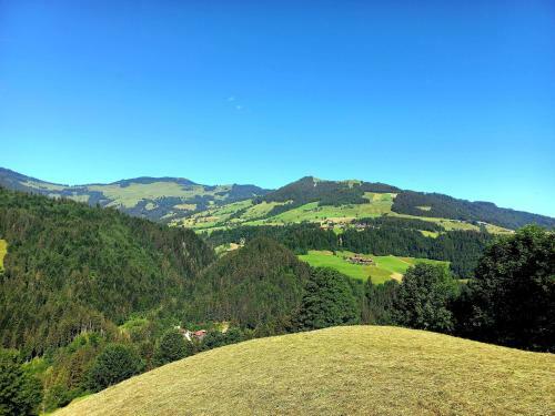 Agroturismo Bergappartement Kink