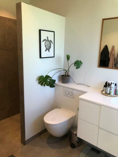 Spacious Villa In Great Area Close To Copenhagen