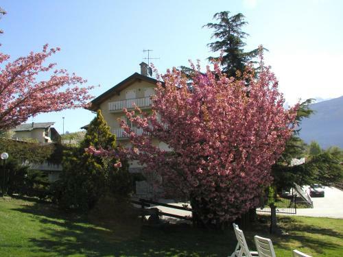 Bed & Breakfast Affittacamere Verger Plein Soleil