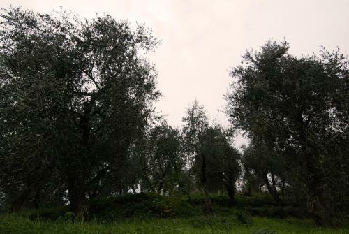 Holiday Home Porta Alla Fonte
