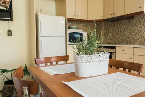 Apartamento Sofia