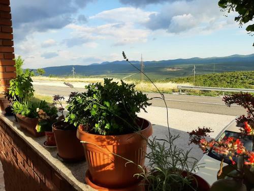 Apartamento House Milanko