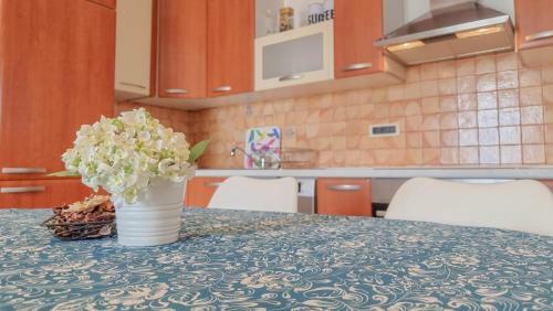 Apartamento Renata
