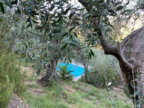 Villa Podere Par Di Rota