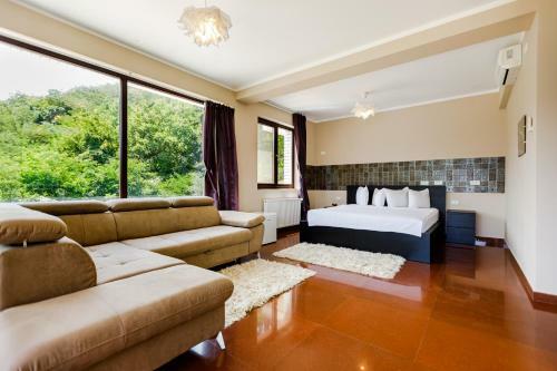 Bed & Breakfast Rex Infinity View 4* Cazanele Dunarii