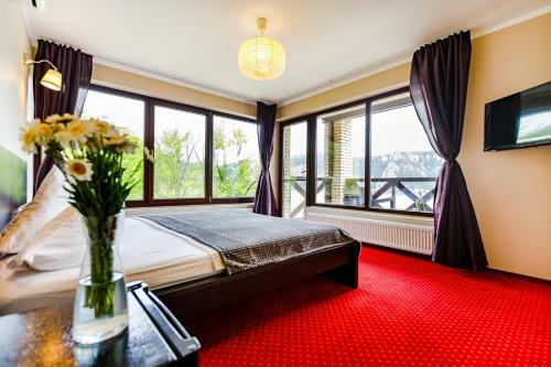 Bed & Breakfast Rex Infinity View 4* Cazanele Dunarii