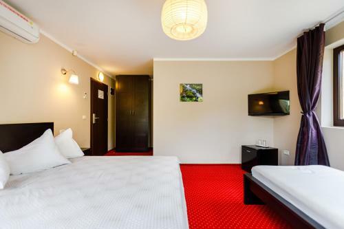Bed & Breakfast Rex Infinity View 4* Cazanele Dunarii
