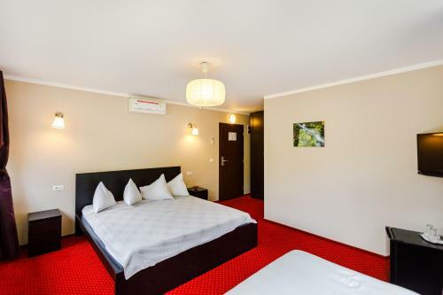 Bed & Breakfast Rex Infinity View 4* Cazanele Dunarii