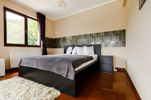 Bed & Breakfast Rex Infinity View 4* Cazanele Dunarii
