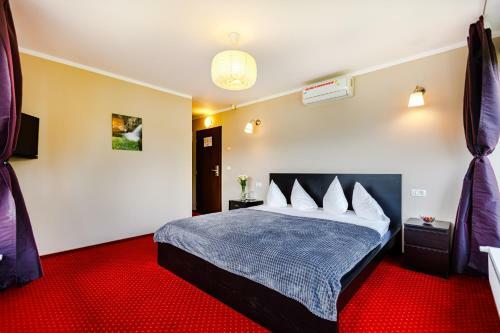 Bed & Breakfast Rex Infinity View 4* Cazanele Dunarii