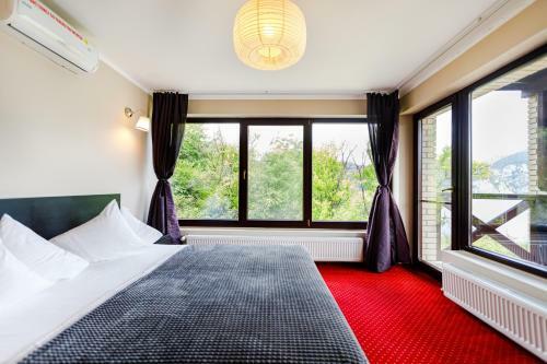 Bed & Breakfast Rex Infinity View 4* Cazanele Dunarii