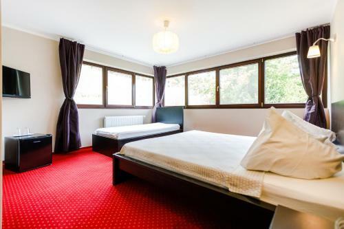 Bed & Breakfast Rex Infinity View 4* Cazanele Dunarii