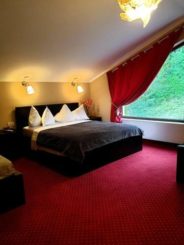 Bed & Breakfast Rex Infinity View 4* Cazanele Dunarii