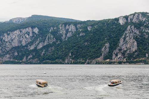 Bed & Breakfast Rex Infinity View 4* Cazanele Dunarii