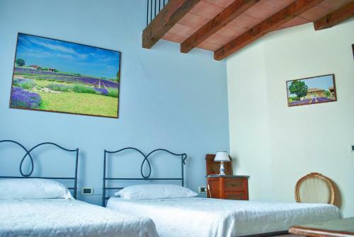 Agroturismo Il Murello