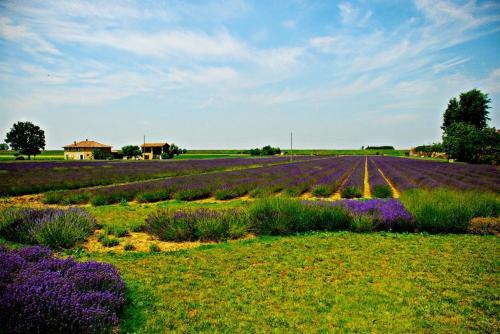 Agroturismo Il Murello