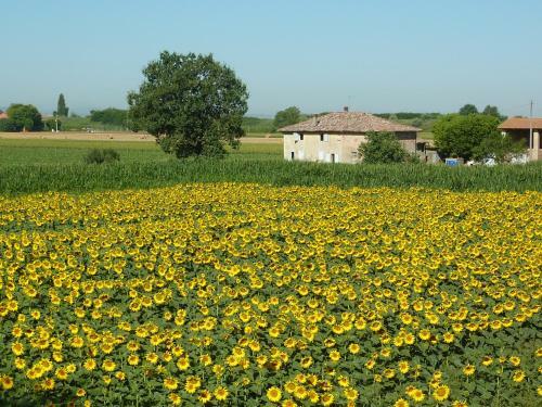 Agroturismo Il Murello