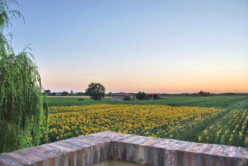 Agroturismo Il Murello