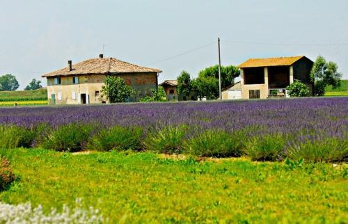 Agroturismo Il Murello