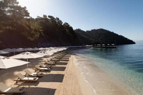 Portville Holiday Villas 27