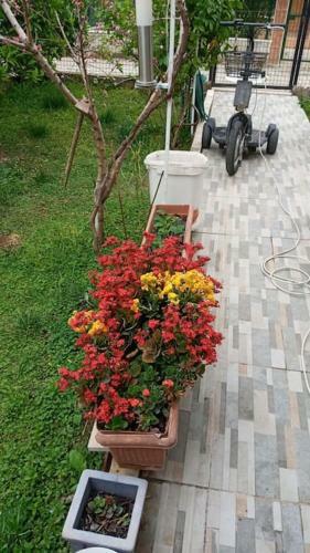 Antalya Ful Donan?ml? Villa (klima, Kaloriferli)