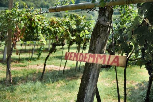 Agroturismo Massimago