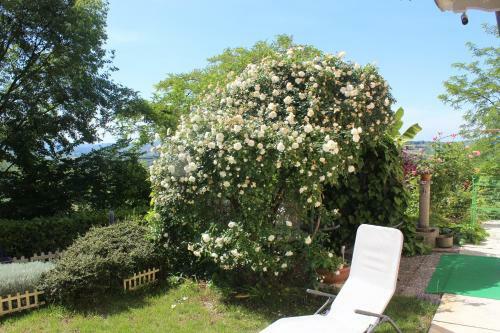 Bed & Breakfast La Terrazza Sul Monferrato