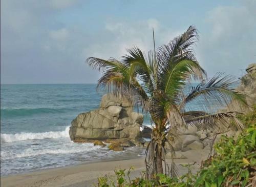 Caba�a Tayrona