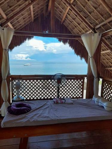 Shenanigans Glamping Resort