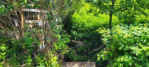 Agroturismo Off Grid Tiny Home: The Herbalist Cabin