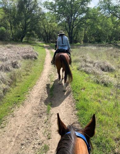 Harmony Ridge Ranch Nestled On A Secluded 6 Acres