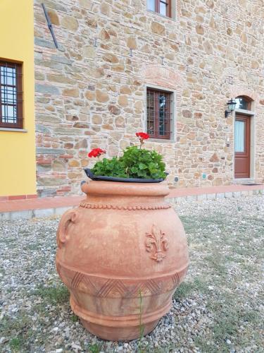 Agroturismo Agriturismo Podere Casalone