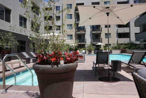 Entire Apartment 1bed/1bath West Hollywood
