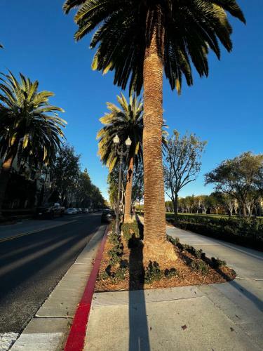 Entire Apartment 1bed/1bath West Hollywood