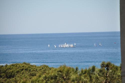 Apartamento En El Torre De S`abanell