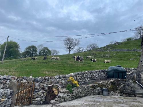 Dove Cottage - Stay At Gwens