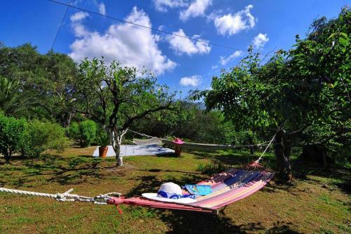 Villa Dassia House