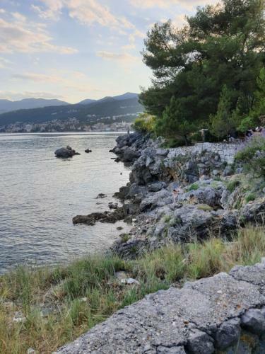 Apartman Sandra