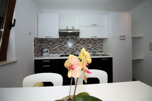 Hostal Apartmani Teo
