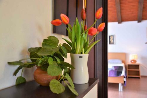Apartment In Ugljan - Insel Ugljan 41706