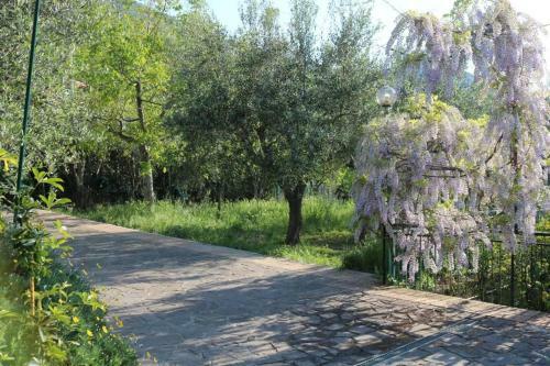 Apartamento Villa Aura