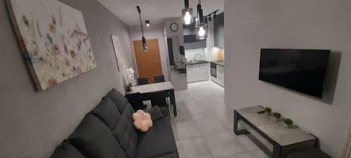 Apartament Helsinki Jastrz?bia G�ra
