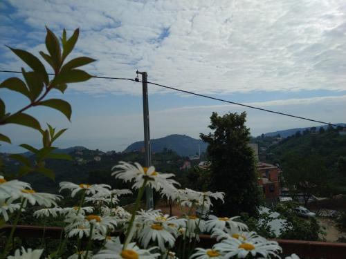 Villa Panoroma (5 Bedrooms 3 Bathrooms)