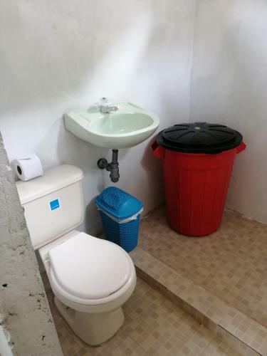 Eco Hostal Los Cocos