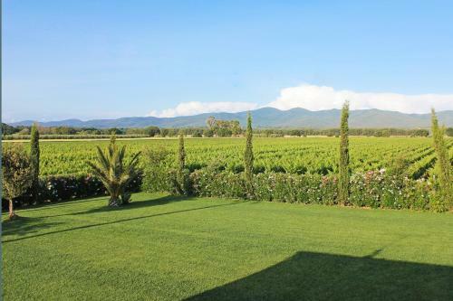 Agroturismo Agriturismo Ferruggini